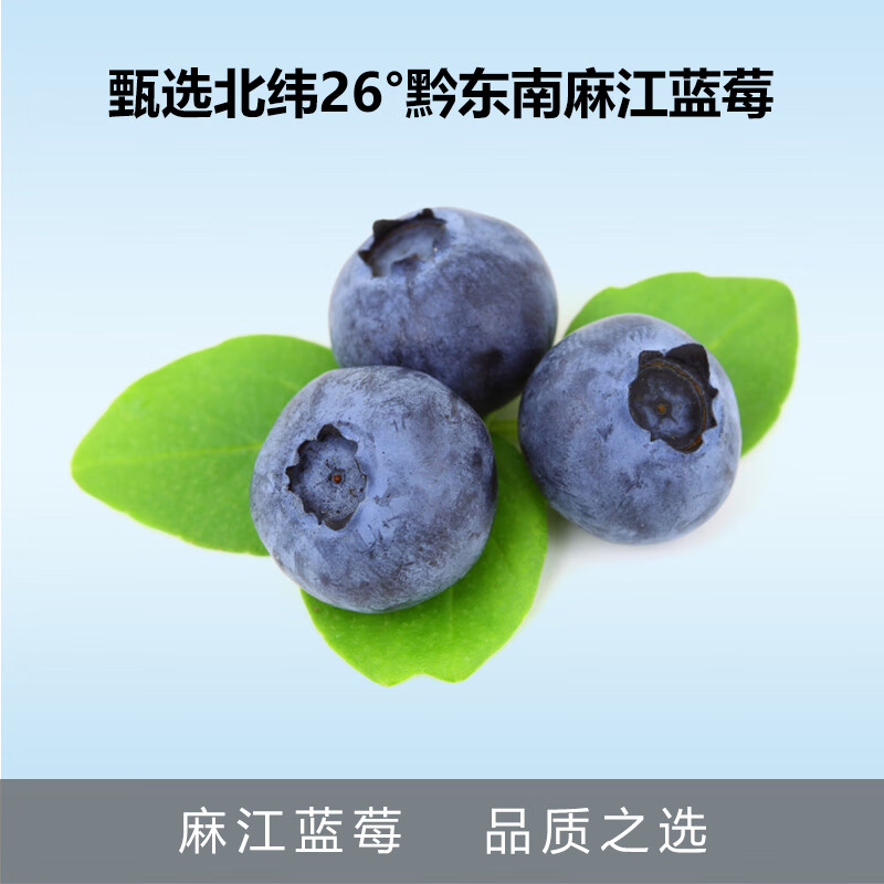 苗之灵蓝莓汁蓝莓果蔬轻饮原浆鲜榨果汁饮料夏日解暑 238ml*12瓶礼盒装 【蓝莓鲜榨】238ml*6瓶