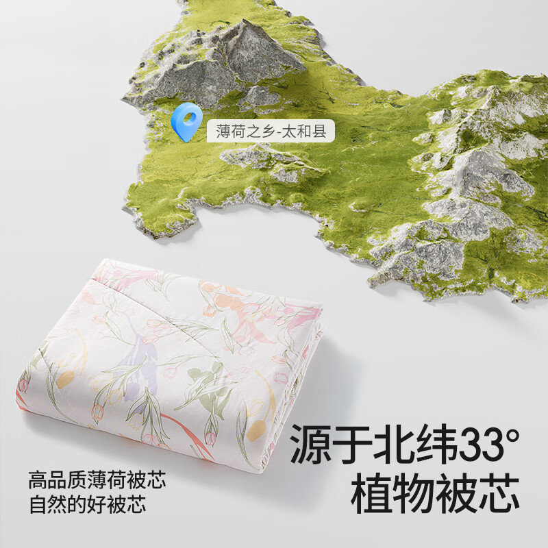 贝肽斯成人夏凉被春夏季母婴儿童空调被子薄款盖毯单双人可机洗抗菌被子 浅色思念【薄荷清凉 可机洗】 150cm*200cm