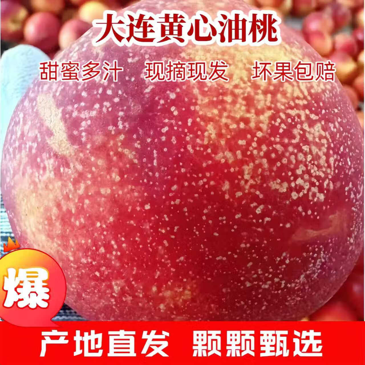 鲜姿 大连红油桃丑黄肉油桃子鲜果丑桃油桃子生鲜礼盒当季新鲜水果 油桃4.5斤【单果约100-150g】 京东折扣/优惠券