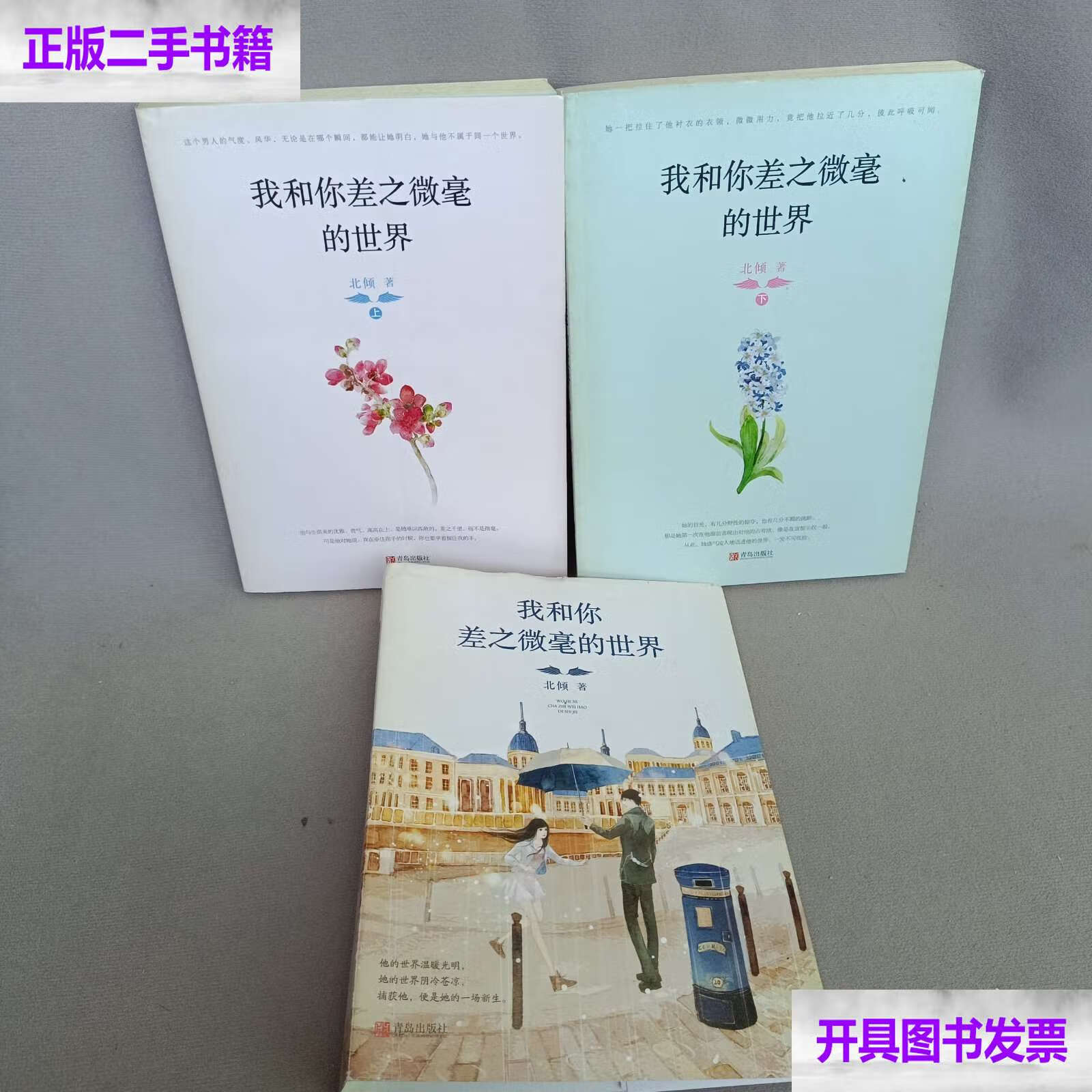 我和你差之微毫的世界北倾