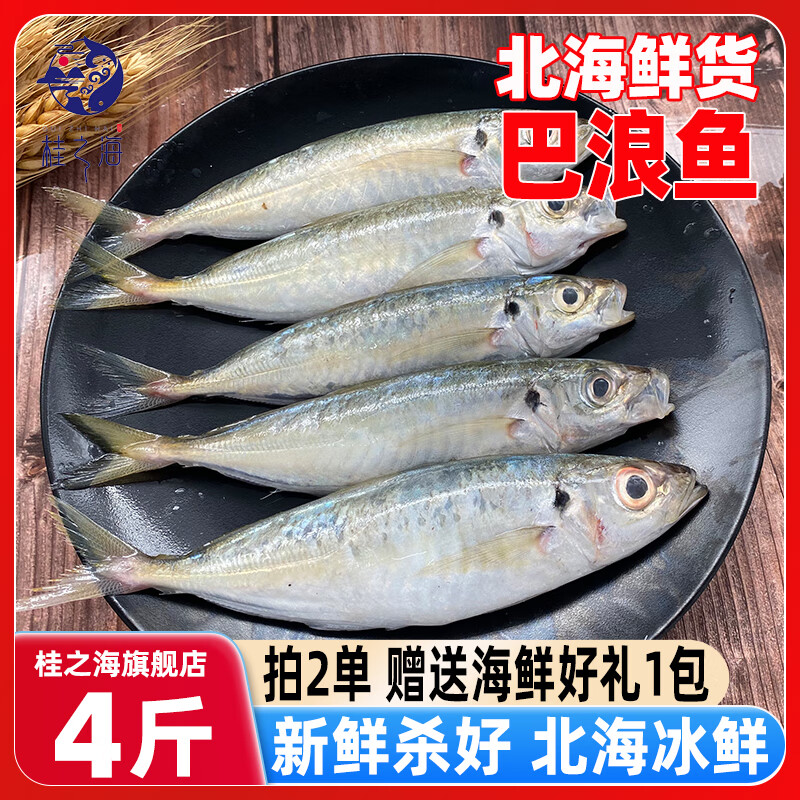 桂之海 桂(GUIZHIHAI)北海巴浪鱼鲜活冷冻海杂鱼新鲜海捕去鳞去鳃去内脏池鱼深海鱼海鲜 5包大号【4-5条/包】净重4斤 京东折扣/优惠券