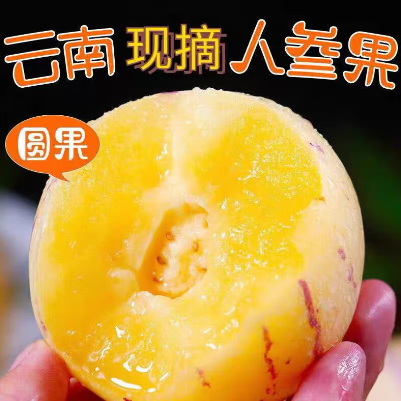 盛覓云南人參果新鮮現(xiàn)摘應(yīng)季黃肉心孕婦水果香甜整箱 3斤單果40g+凈重2.6斤 新鮮水果