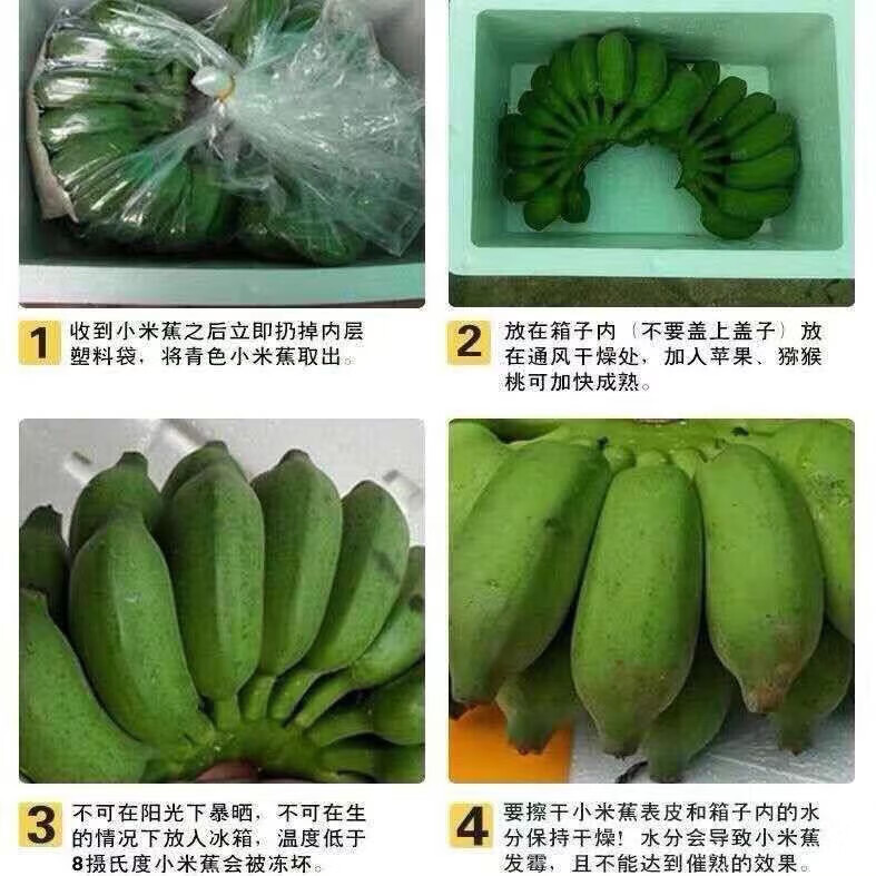 商品图片 2