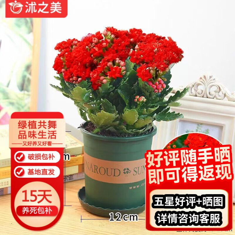 ��֮�����ٻ���ֲ����ֲ���������� ���ٻ���ɫ+0.5���ϼ����� Դͷֱ��