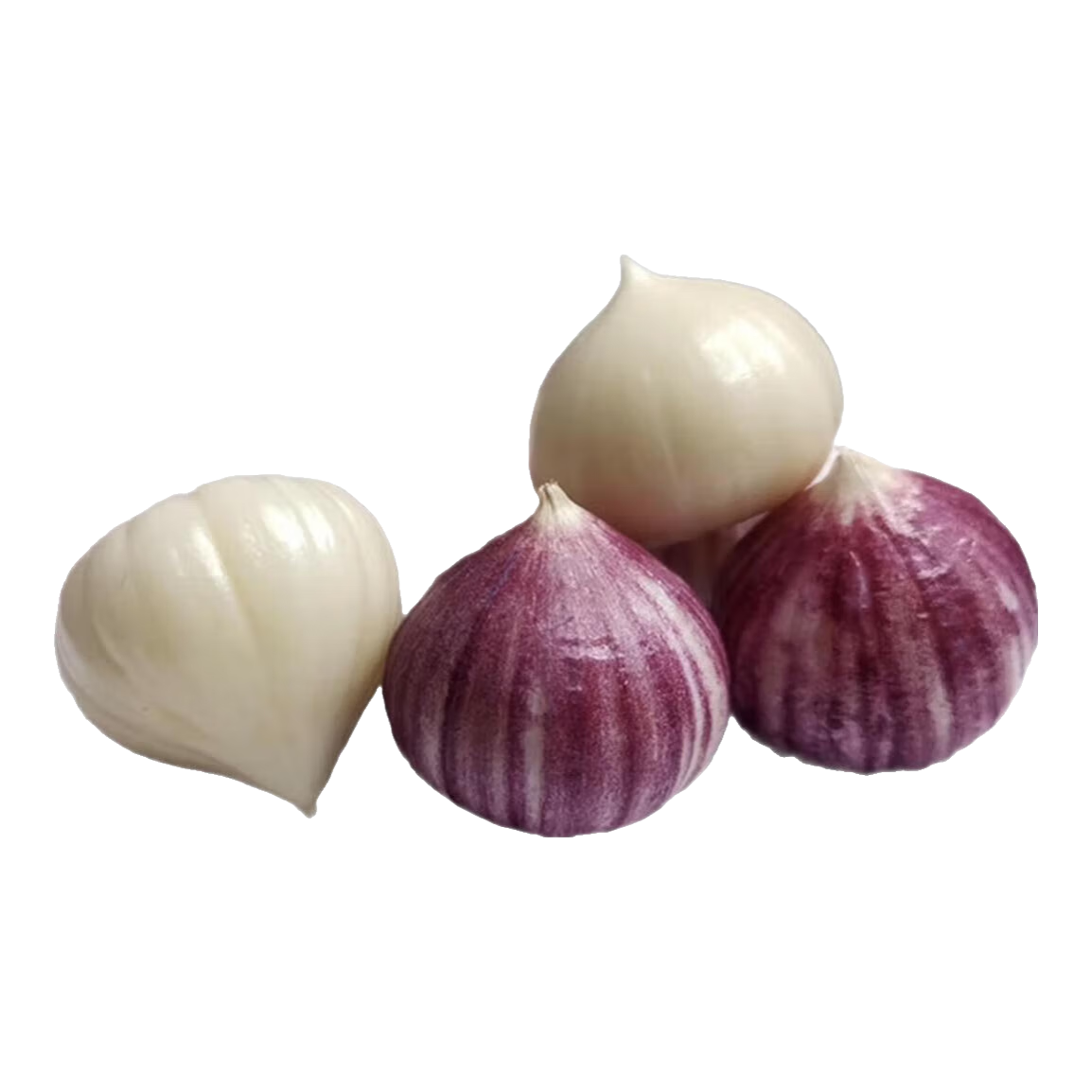 ��ϲ������������Ƥ��ͷ������ԭ�����������߲˵��� ��ѡ5�ﵥ��2cm���� 62.9Ԫ