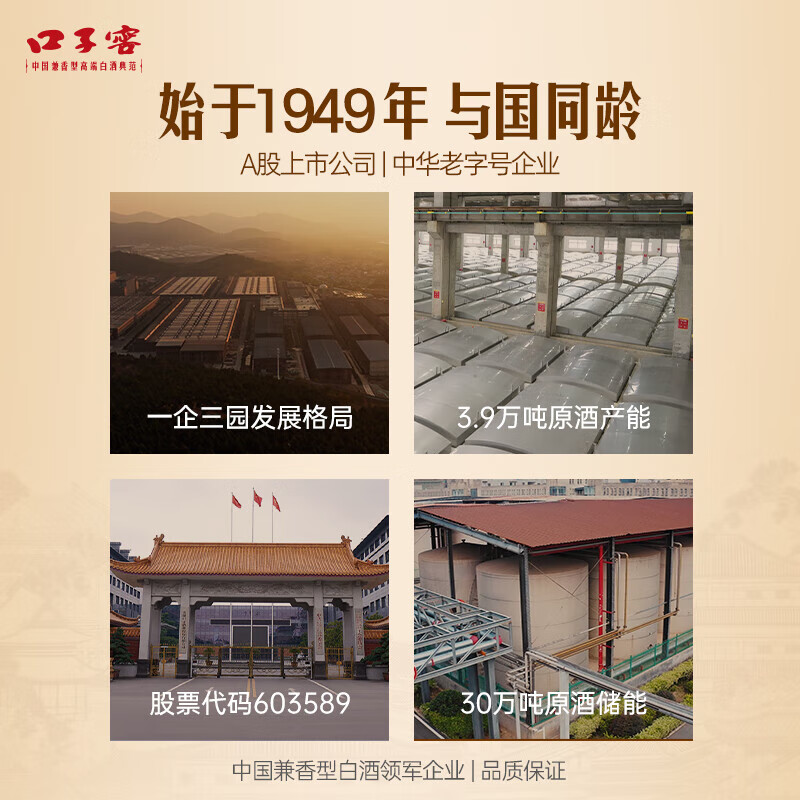 口子窖十年型  兼香型白酒 50度100ml小酒 高端白酒 50度 100mL 1瓶
