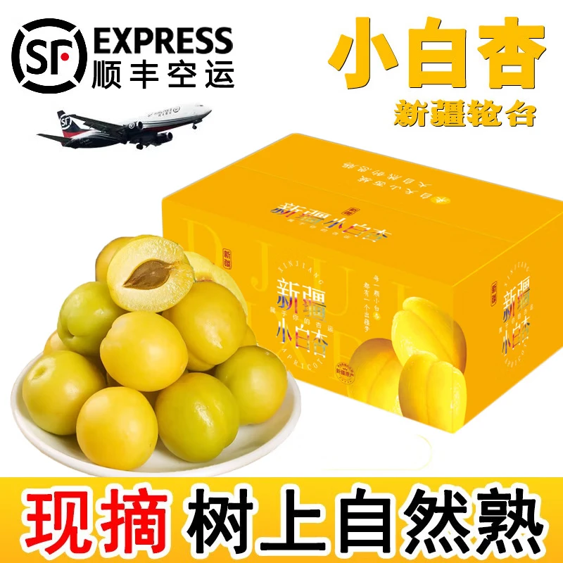 儲(chǔ)褚新疆小白杏輪臺(tái) 新鮮孕婦水果 順豐空運(yùn)甜杏阿克蘇特產(chǎn)端午禮盒裝 4斤精選高端禮盒（單果20-25g+）