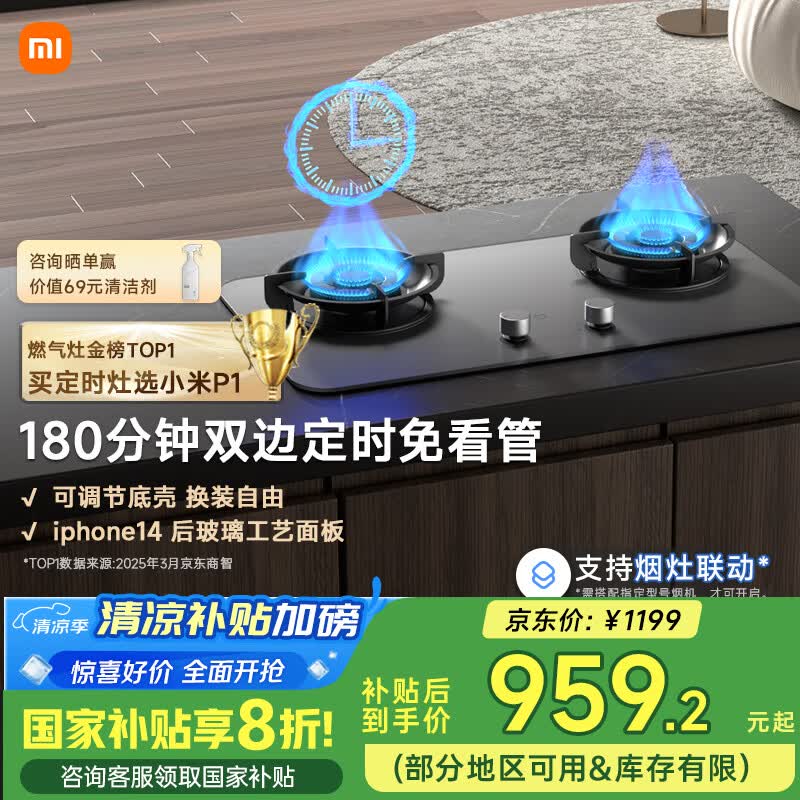 �׼� Ƕ��ʽȼ���� P1 4.8kW��˫�߶�ʱ�������ɵ���