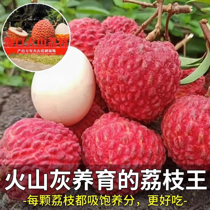 三萌果蔬海南荔枝王超大【JD顺丰闪送】新鲜火山荔枝水果礼盒送礼 3斤装【爆款主推-80%人选】净2.5斤 A+精品特大果【约10-12枚/斤】大如鸡蛋