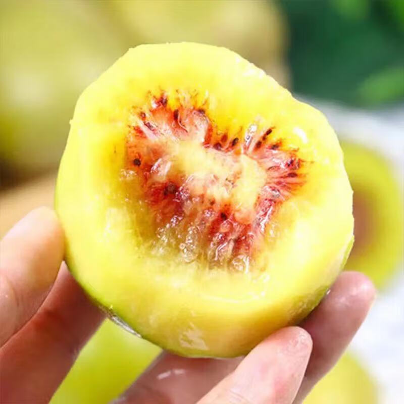 牛爱田 猕猴桃四川红心猕猴桃奇异果新鲜水果整箱 红心果15粒单果70-90g 自有农场