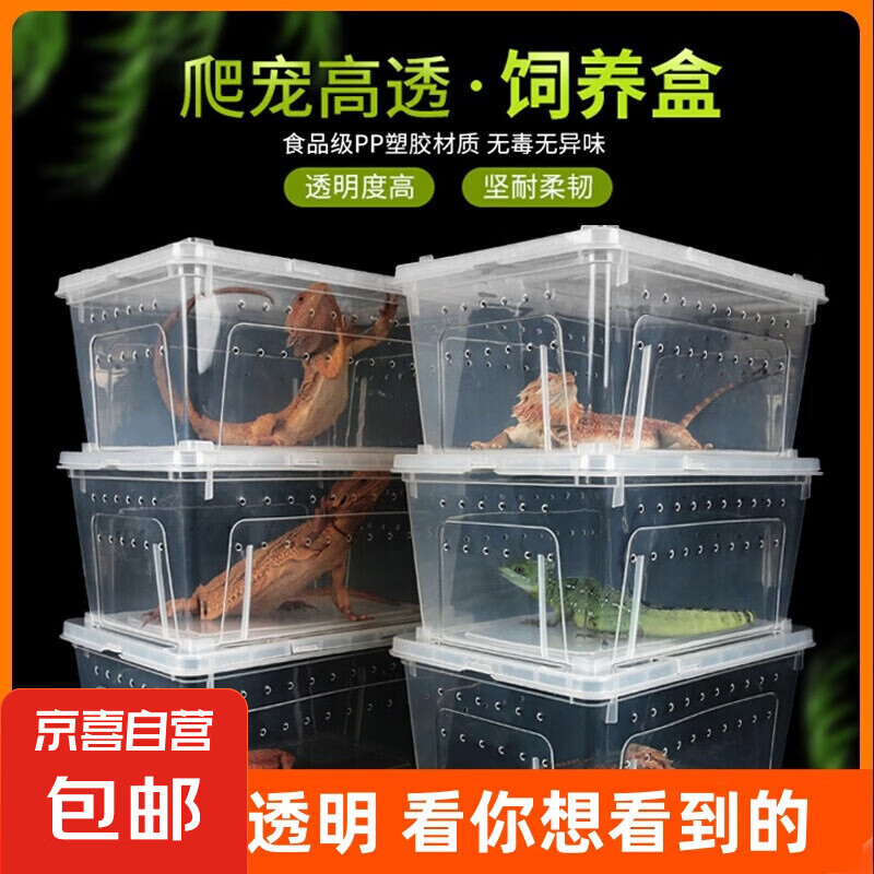 爬宠饲养盒爬虫大中小号树栖盒小方箱盒守宫蜥蜴蜘蛛双开防越狱 饲养箱【透明】中号
