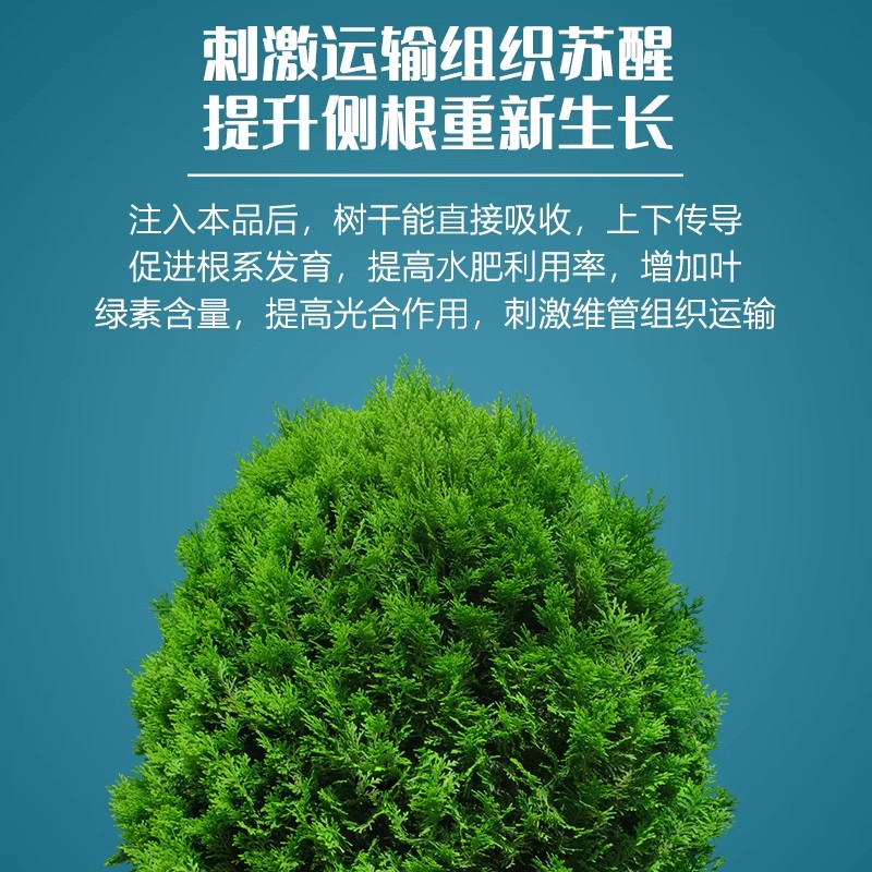 智绿树木营养液吊针液果树通用型移栽树苗生根剂大树营养液输液袋 大树打孔专用电钻【充电款】