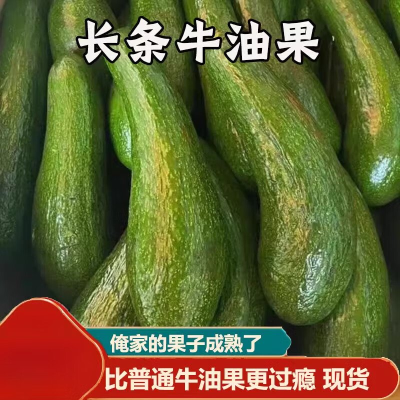 越南进口牛油果304长条大果新鲜当季热带水果果汁 1斤装【1斤约1-3个】 0个