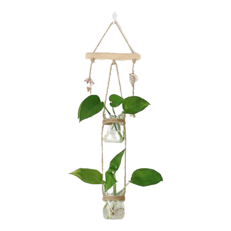 衛(wèi)辭ins創(chuàng)意水培植物壁掛玻璃花瓶門簾裝飾綠蘿小吊瓶小清新墻面掛飾 一木單杯
