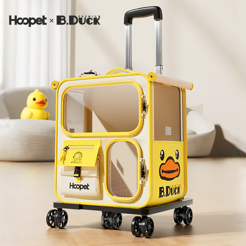 ��Ԫ��ߣ�hoopet��è�������Я������è�䱳������˫��������������������������� �������ˡ�˫��͸�������׻ƣ�