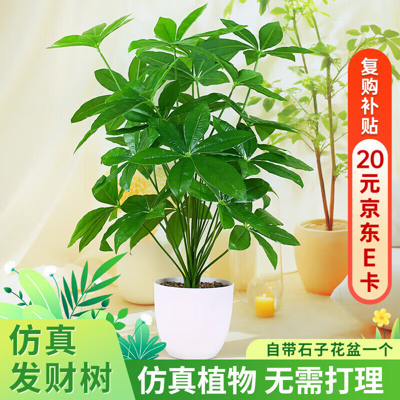 �����ȷ���������ֲ�����Լٽ�Ǯ��������ؼ��辰����װ�μٻ�