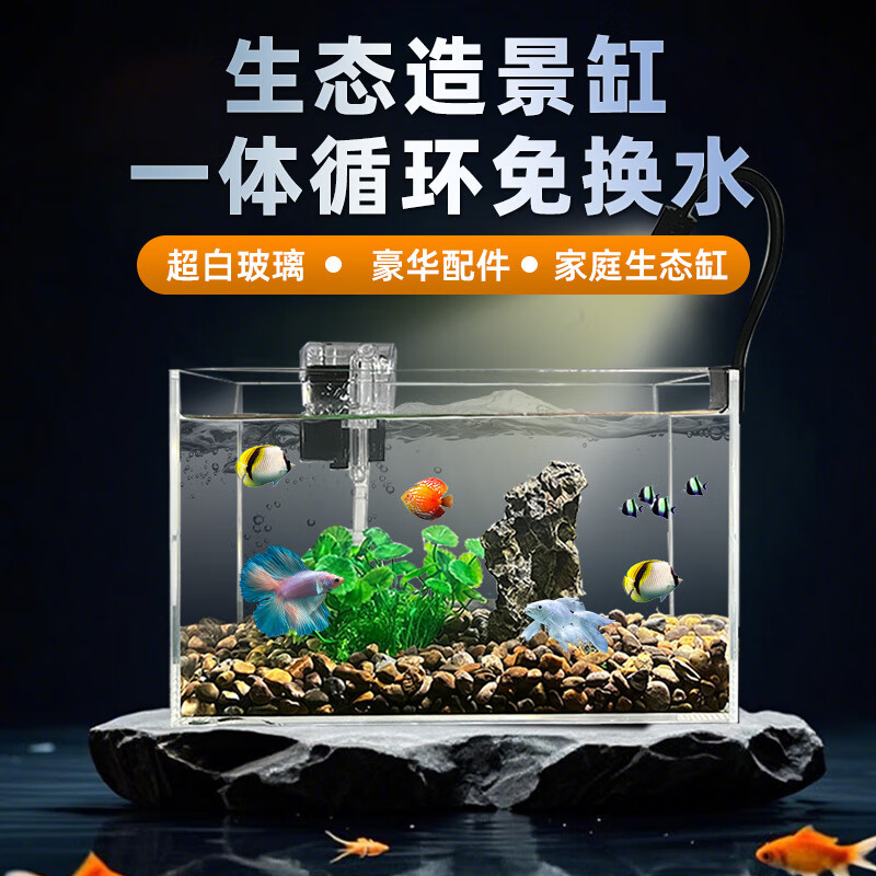 ���������ײ������һ�����ѭ���⻻ˮ����С��������̬���쾰Ϫ����