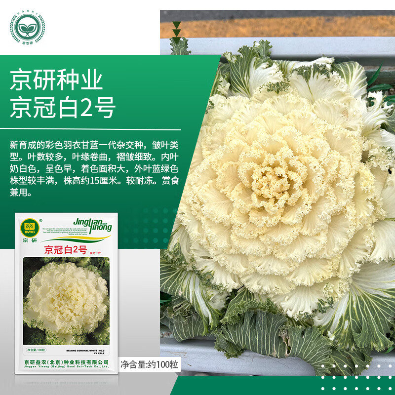 ��ũ�����¸������ӹ��Ϳ�ʳ��ɳ����ɫ����Ҷĵ���ͺ�ũ��Ժ�߲������� ���ڰ�2�� 100��