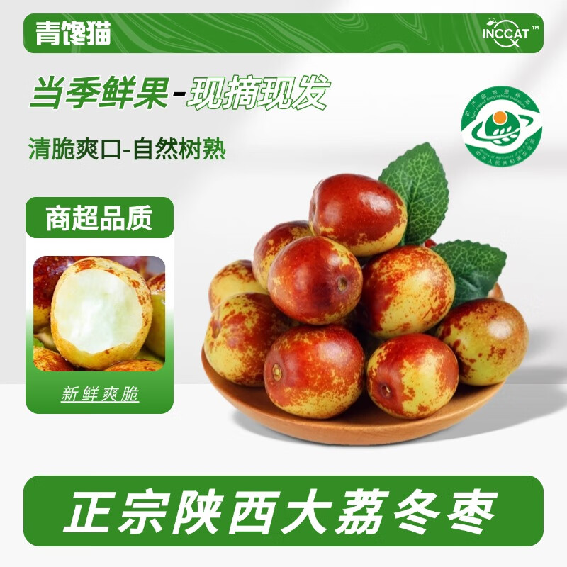 青饞貓正宗陜西大荔冬棗水果新鮮棗子脆棗牛奶整箱脆甜大果 凈重3斤【10g+】