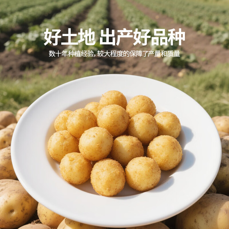 素坊薯条黄金大薯饼细薯条 空气炸锅冷冻半成品土豆条速食食材预制菜 薯球300g*5袋【顺丰冷链】