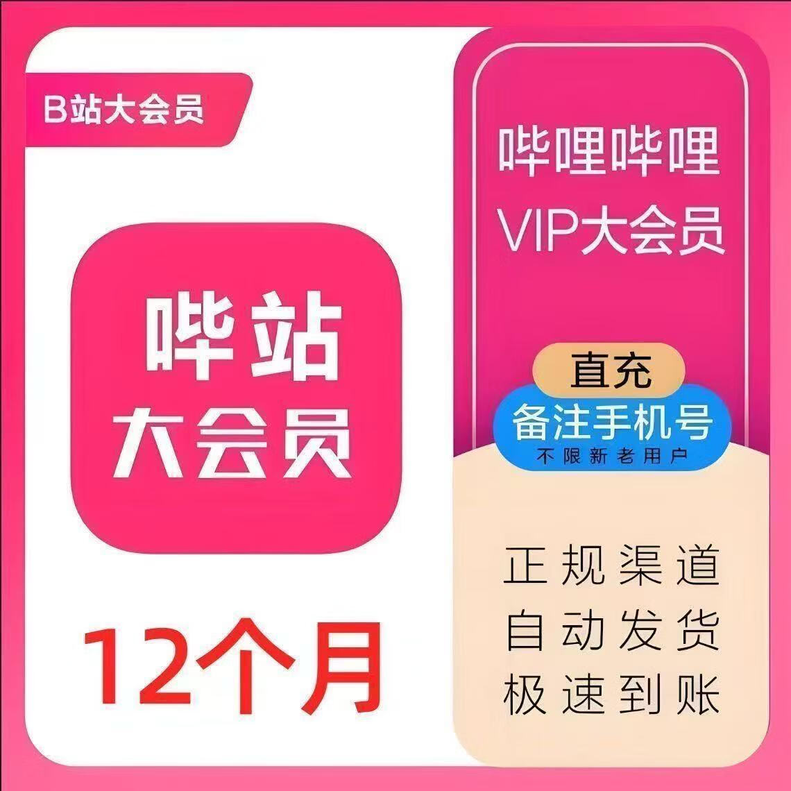 bilibili大会员哔哩哔哩vip12个月一年卡B站大会员