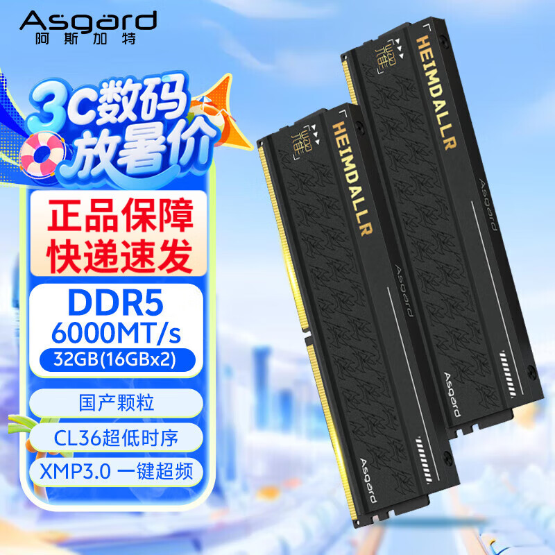 阿斯加特（Asgard）海姆达尔6000c28 	32GB(16GBx2) DDR5 6000 台式机内存条 海姆达尔 马甲条 海力士A-die CL28 黑厚 6000 C36 海姆达尔x耀 国产颗