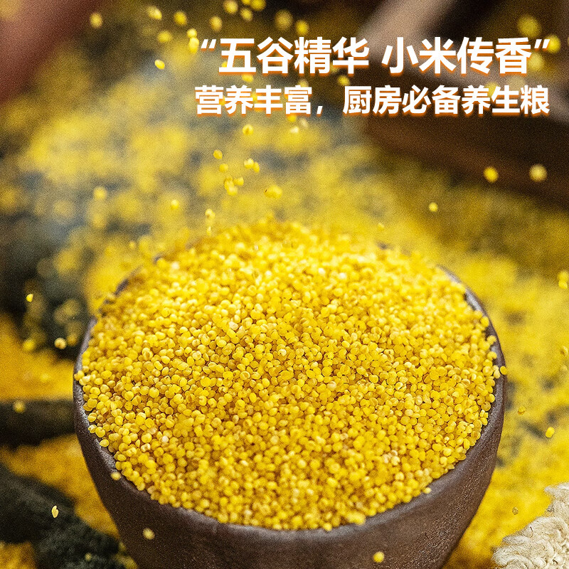 帝辰有机黄小米5斤 粒粒饱满精选优质原产地东北黑土地产新米 有机小米2.5kg