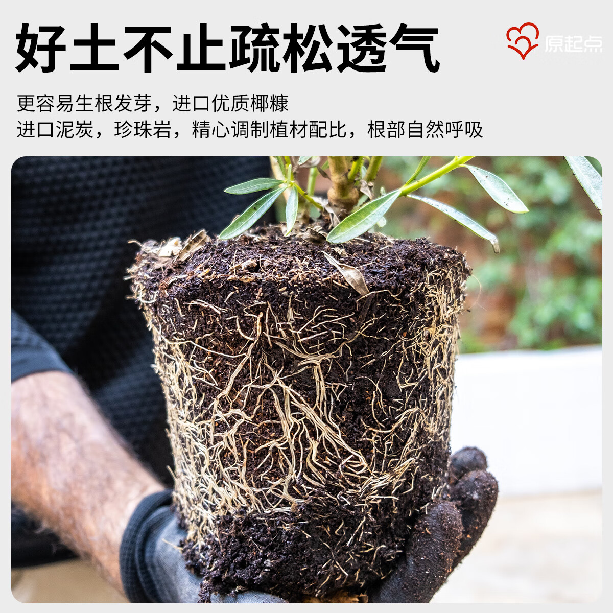 原起点 营养土花土家庭阳台办公室养花种菜土壤花卉园艺通用多肉种植土 10L营养土【植入进口奥绿肥】