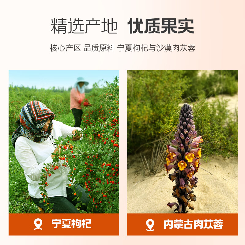 宁安堡肉苁蓉沙苑子菟丝子枸杞锁阳整根切片金淫羊藿泡酒料男性滋补品 90袋*1箱【升级礼盒装】