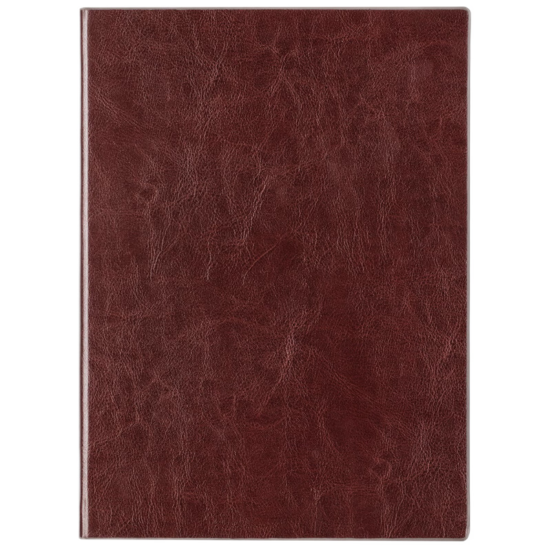 得力RC 3185 16K160張加厚商務皮面本辦公用品 會議記事本日記本筆記本子文具 棕色單本裝
