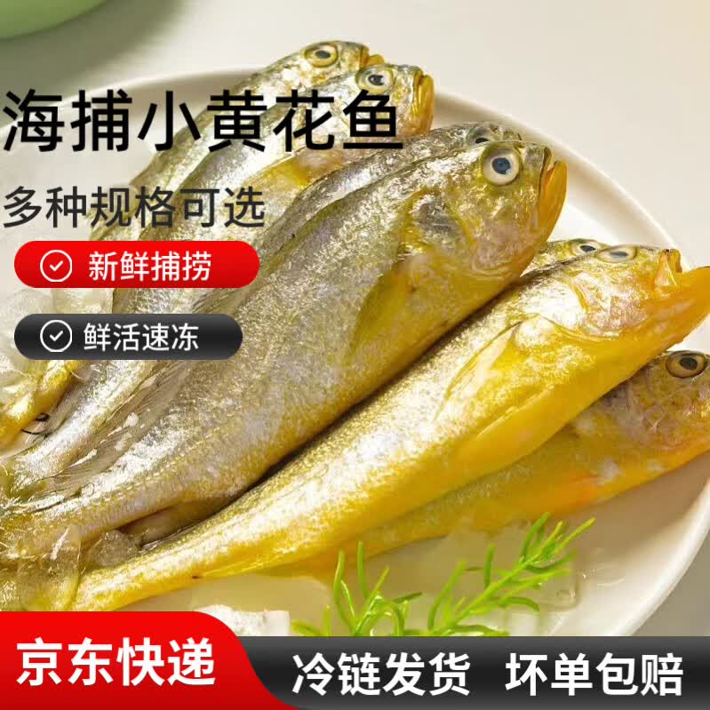 小黄鱼新鲜冷冻海鱼冰鲜真空包装生小黄鱼 1斤【约10条左右】