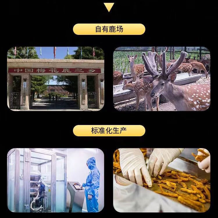 正品八鞭丸鹿鞭驴鞭牛鞭羊鞭浓缩丸中老年男性滋补强肾正宗鹿鞭丸 [八鞭丸]中老年男性滋补 [持久作战]2瓶(提升款)