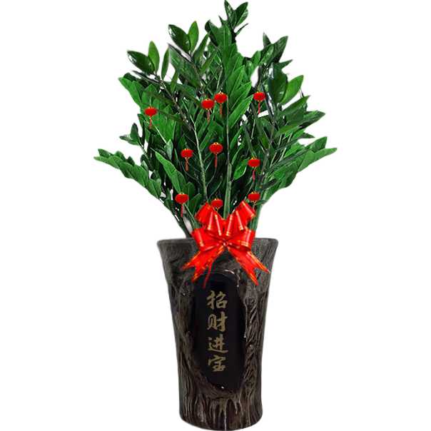 ���ڲ��������Ž�Ǯ���������԰칫���ڴ�����ֲ����Ǯ�����辰1m������Դͷֱ�� 132.72Ԫ(������)