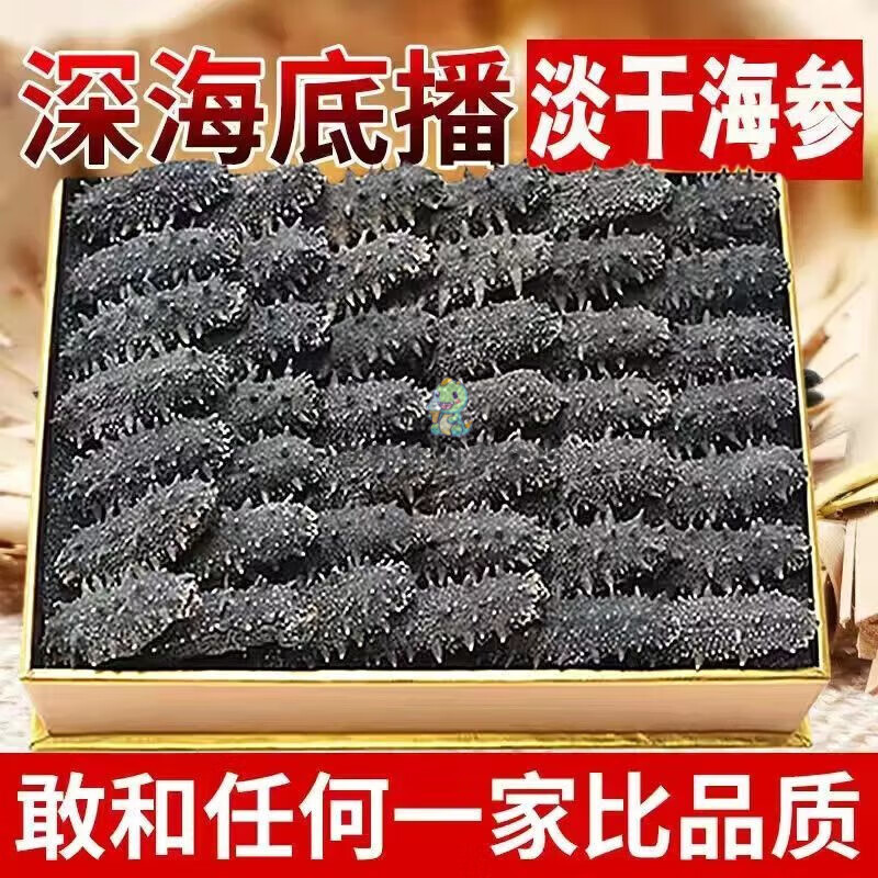 遼參海參純淡干干貨遼參刺參非即食大連海參干貨干海參紙皮核桃 搶：47條干海參