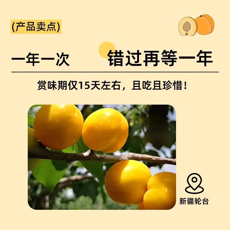 【新疆直发】正宗新疆小白杏新鲜轮台吊杆杏水果整箱团购送礼 净重精选果4斤【京东空运】
