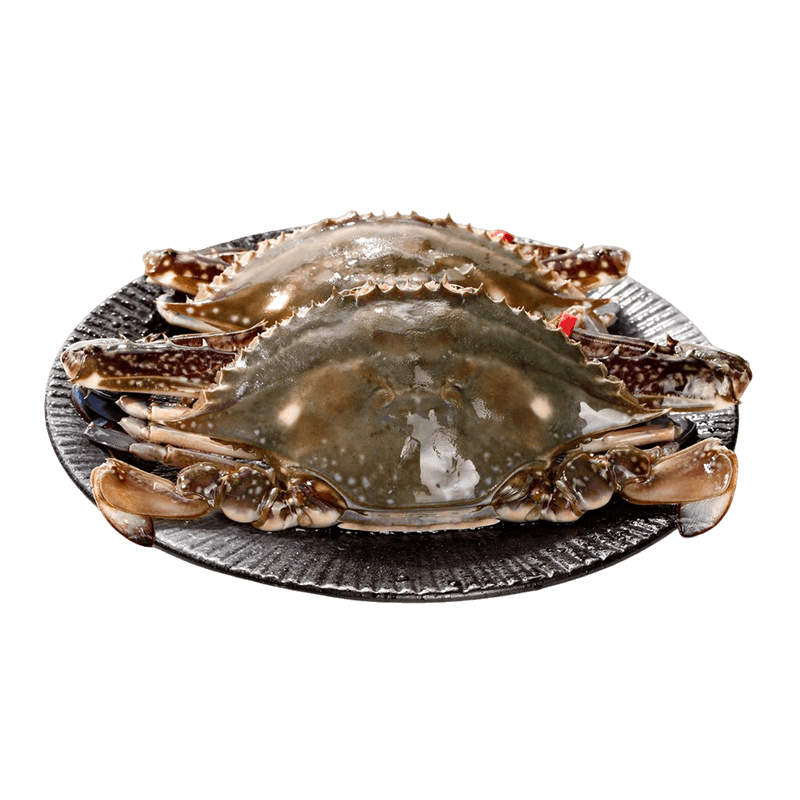 ���� ��ɽ����з�����ش��з����ˮ������з���з��зҰ���� ����3�� 3-5��/ֻ ���ʰ���