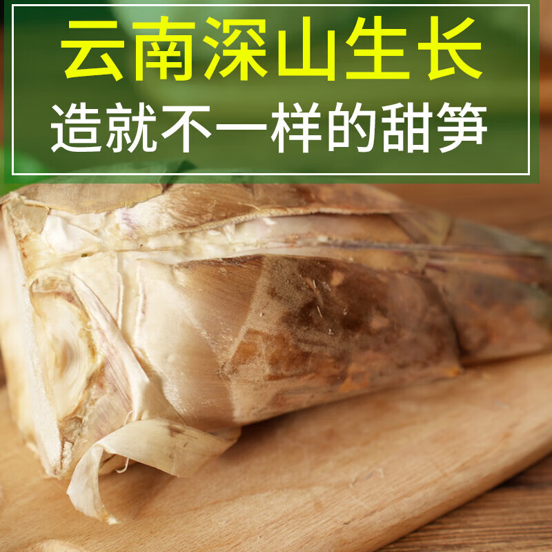 源客行【顺丰直达】福建新鲜甜笋带壳黄竹笋脆嫩甜笋可生吃当季鲜笋蔬菜 大笋(单个约750-1800g) 10斤装【顺丰直达】