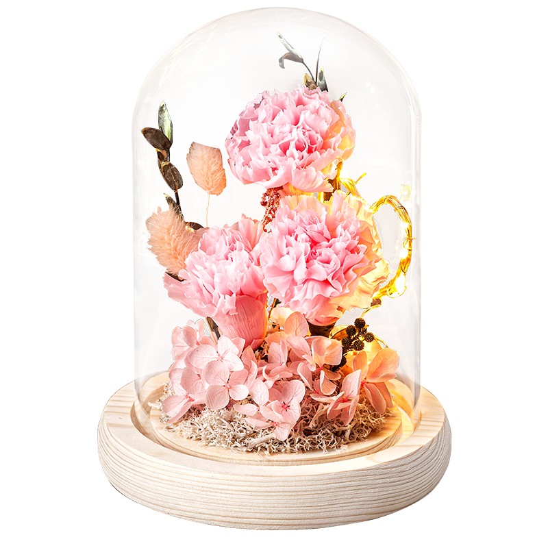 ����Ȼ��Ivenran����������Ůʿ��������п���ܰ��鶩�����������߼���Ů��С��