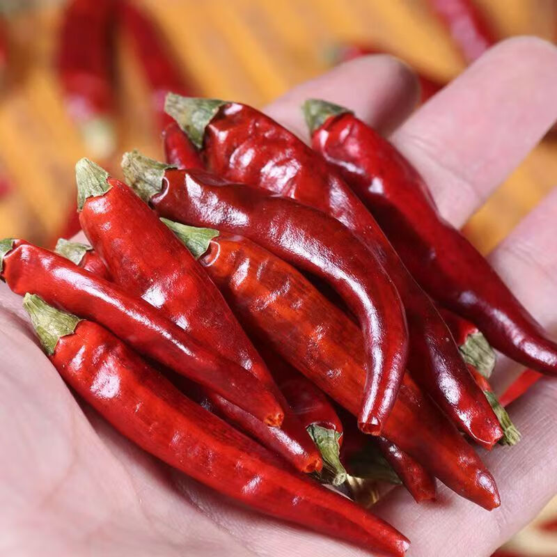 2025新货贵州高山辣椒遵义满天星特香特辣颗粒饱满干红辣椒特辣 贵州石柱红【中辣特香】 2500g【5斤很划算】
