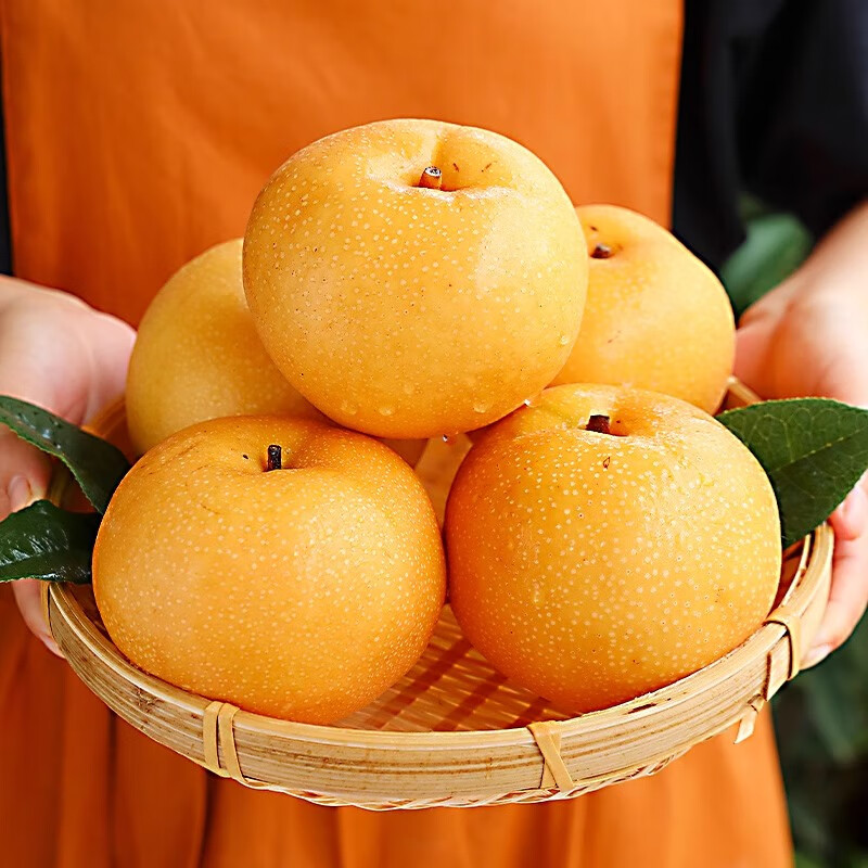融鲜山东莱阳秋月梨新鲜水果梨子当季应季生鲜冰糖雪梨 5斤精选装单果7-12枚净重4.5斤
