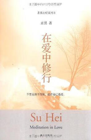 二手在爱中修行9成新