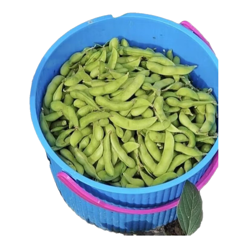 �ӱ�������ë����ժ����ë������ë����ũ�������߲�Ӧ����ë�� ���ʾ�Ʒ-����ë��-5�ﾻ�� 47.9Ԫ