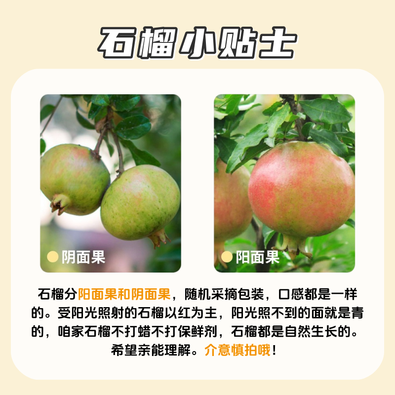 骑猴赶马四川软籽甜石榴当季新鲜水果突尼斯软籽石榴整箱送礼红皮石榴 5斤精选装丨净重4.5斤【颗颗饱满】 【单果约175-250g】