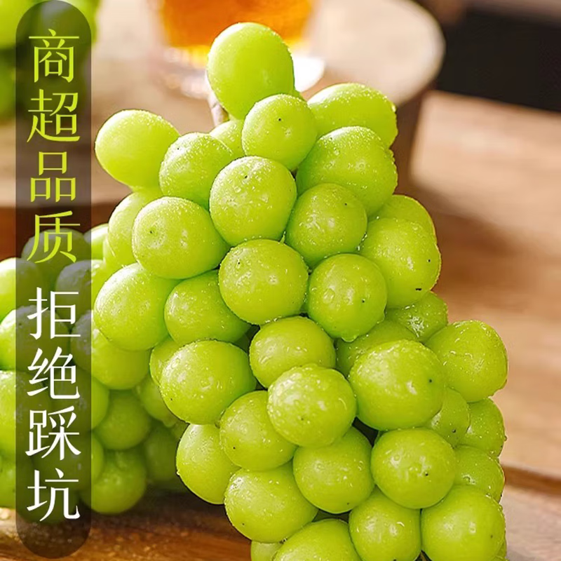 佟创四川阳光玫瑰葡萄青提晴王香印水果现摘现发 【现货速发】净重4斤(单果8g+)