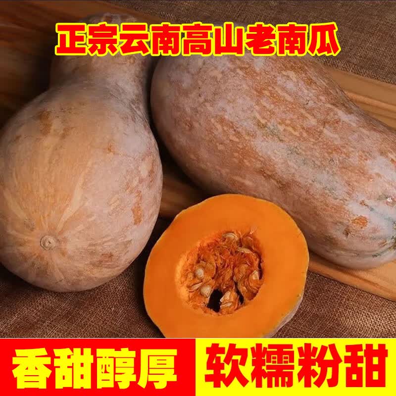 云南老南瓜农家自种当季新鲜粉面甜糯小宝宝辅食整箱蒸煮密本南瓜 老南瓜 8斤 【8-9斤】