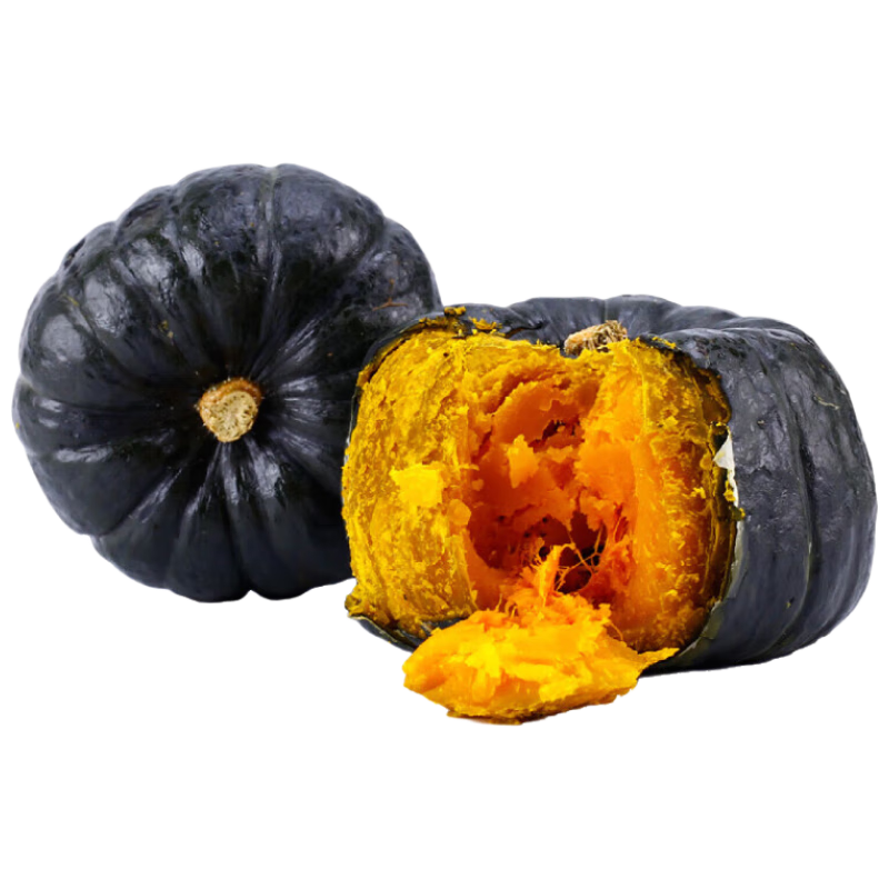 ������ �����Ϲ� 5-6�� 4.5��