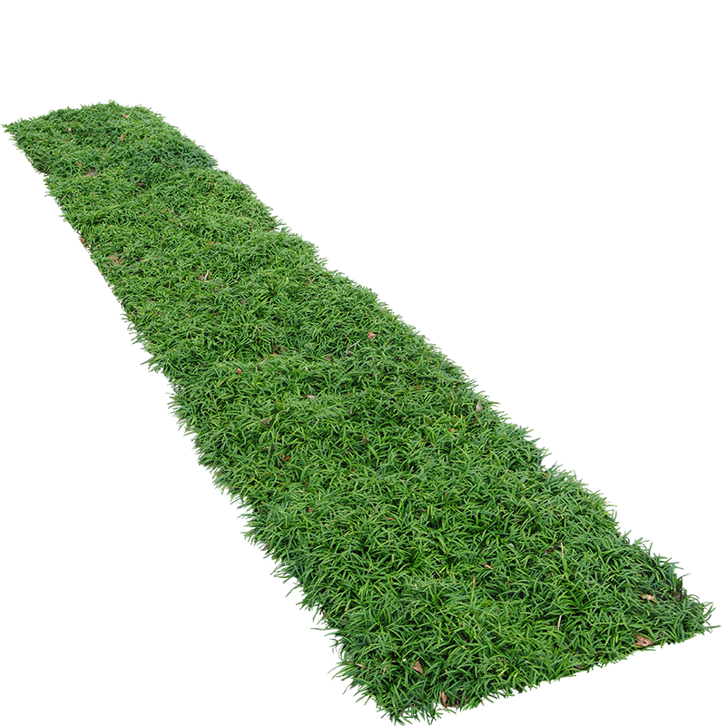 ���ڲ������������ƺ������ƤͥԺ�̻��̵��������������ƺ1ƽ����Դͷֱ�� 20.37Ԫ