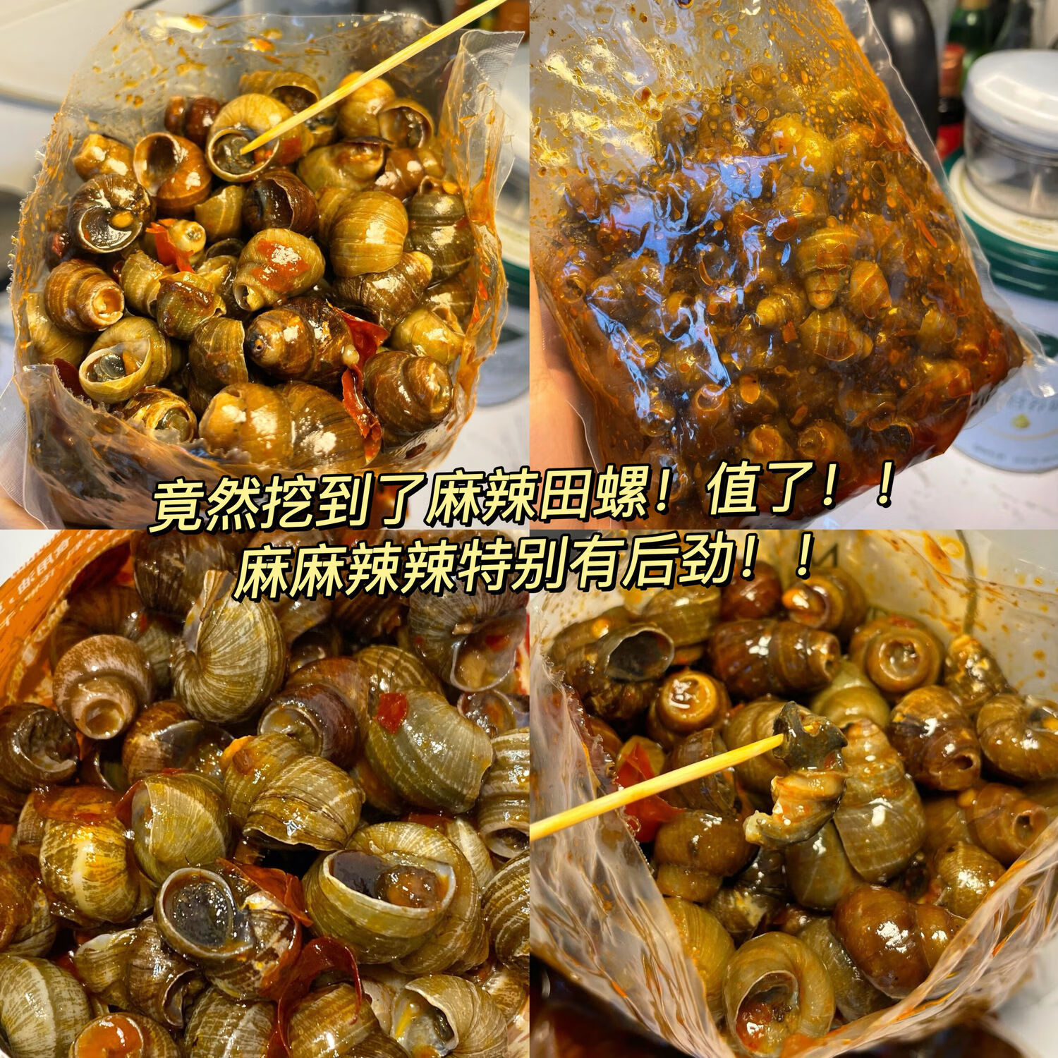 【開(kāi)袋即食】麻辣田螺香辣螺大袋口味嗦螺新鮮網(wǎng)紅爆款商用半成品 麻辣田螺 500g 1袋