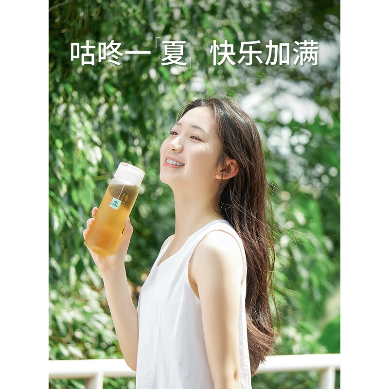 茶里chali茶里荔枝花果茶紅茶精選水果茶凍干檸檬茶葉夏 荔枝紅茶冷泡茶[下單送冰紋杯] 冷泡茶