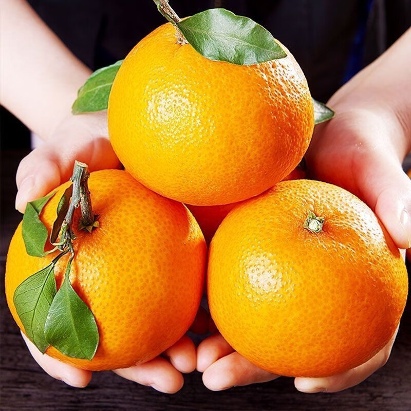 爱媛38号果冻橙新鲜橙子当季水果整箱大果粒橙 净重4斤普通装75-85mm(拍二合并发货)